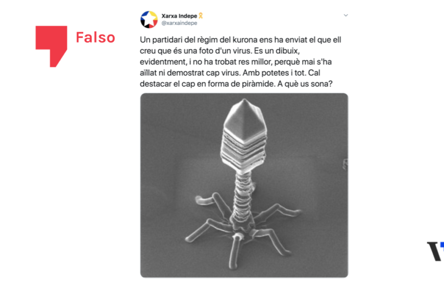 Es falso que nunca se haya aislado un virus y que no se puedan fotografiar