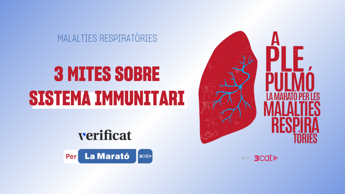 Cartel·la per a l'article de tres mites sobre sistema immunitari, en col·laboració amb La Marató de 3Cat 2024